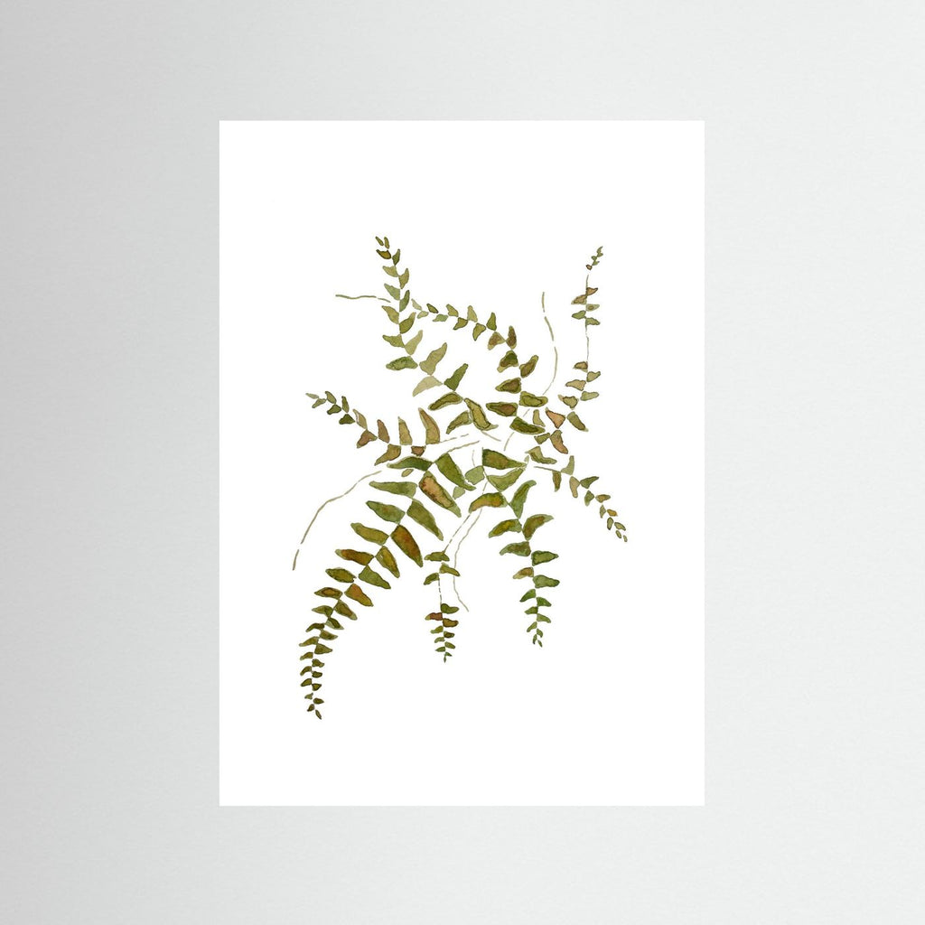 Fern Poster