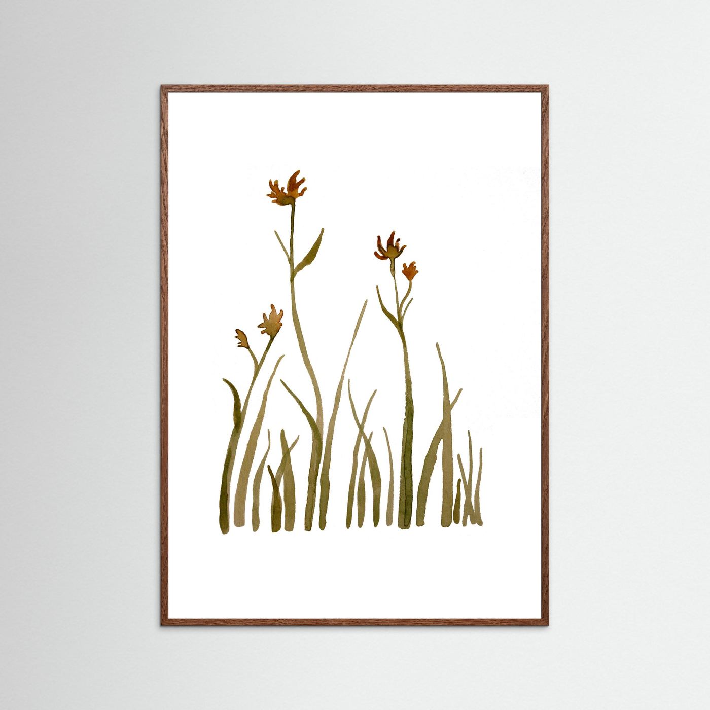 Kangaroo Paw Poster