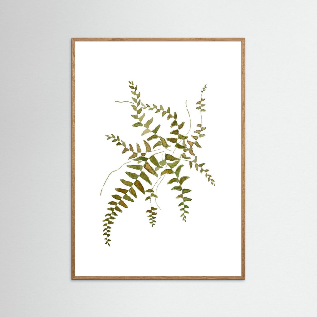 Fern Poster