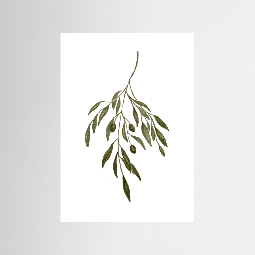 Olive Branch Poster