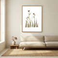 Kangaroo Paw Poster