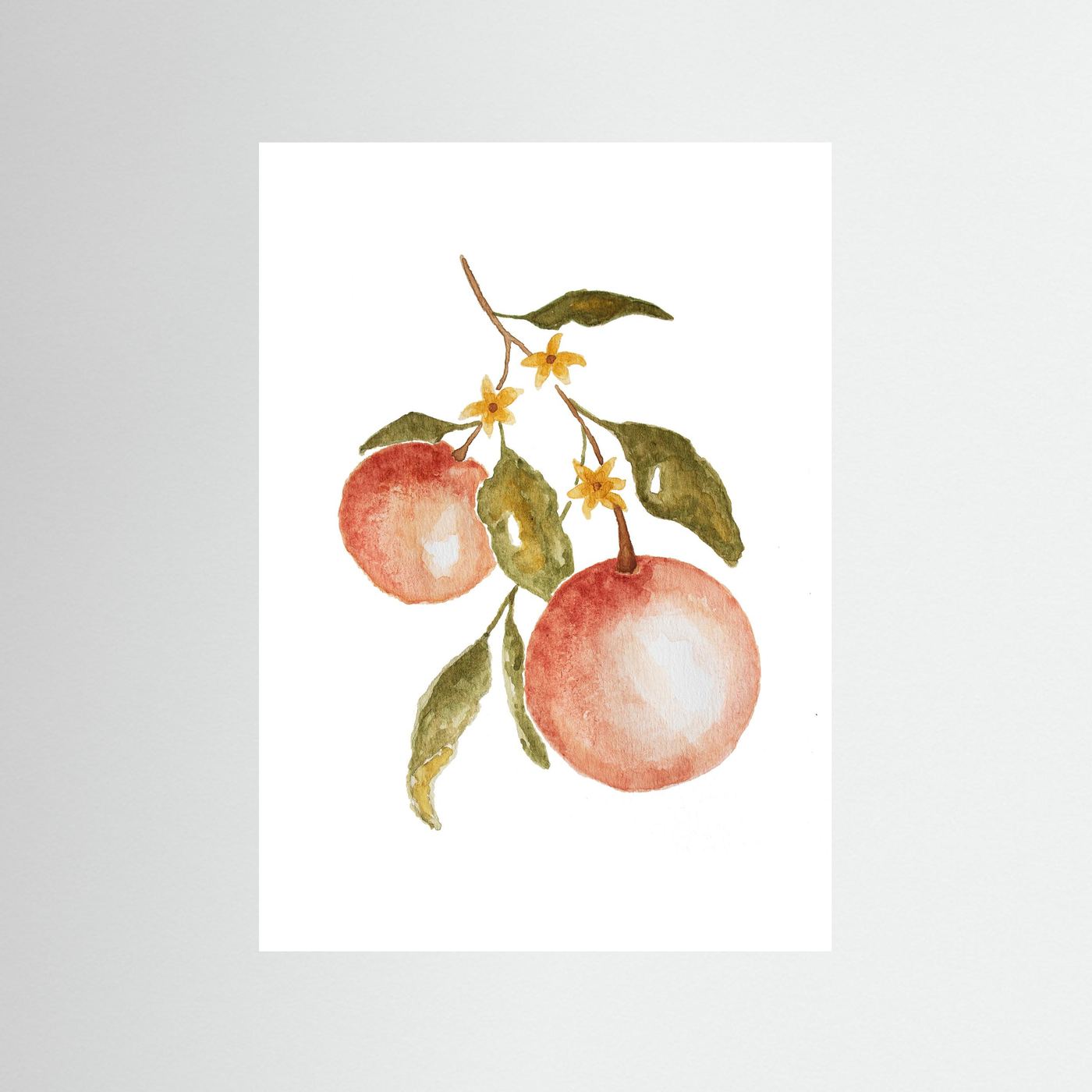 Pink Grape Poster
