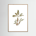 Banana Tree Poster