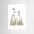 Kangaroo Paw Poster