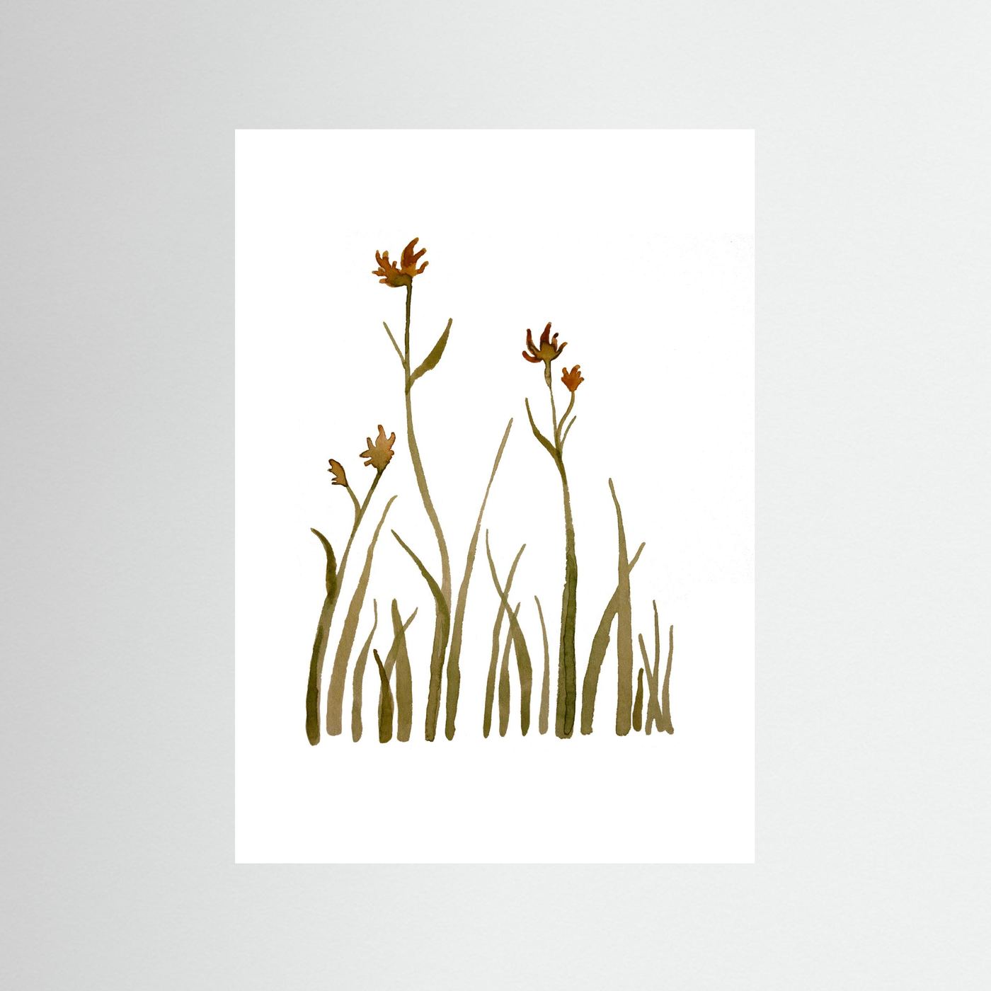 Kangaroo Paw Poster
