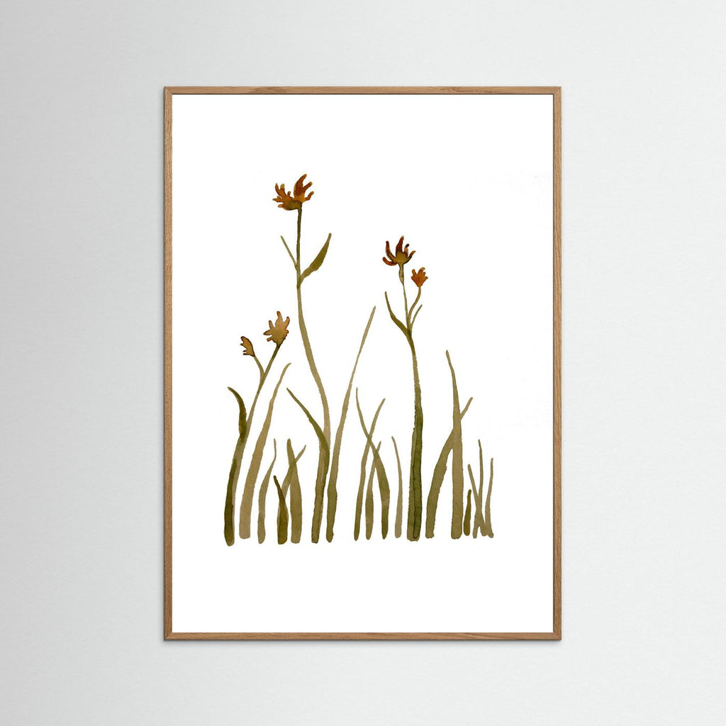 Kangaroo Paw Poster