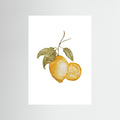 Lemons Poster